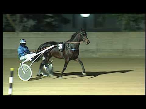 Ippodromo dei sauri - corsa 9 dell'11 dicembre 2022