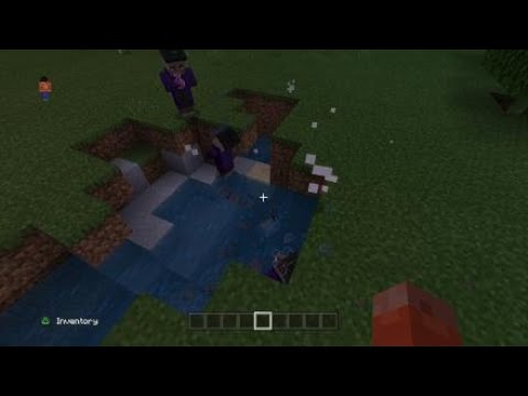 Illager Army VS 5 Iron Golems