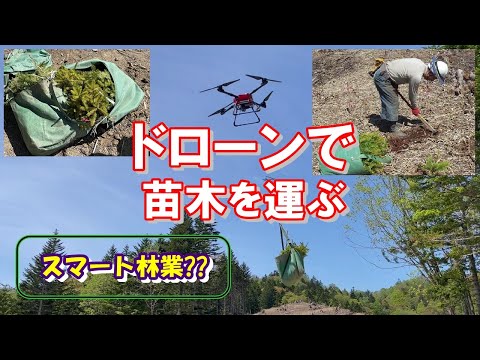 1 日あたり 4,800 本の木 - 植林のためのドローン
