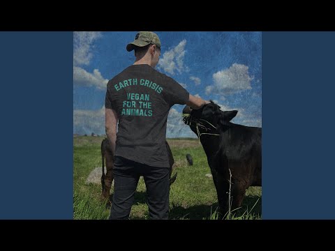 Vegan For The Animals