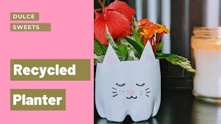DIY Cat Planter from a plastic bottle