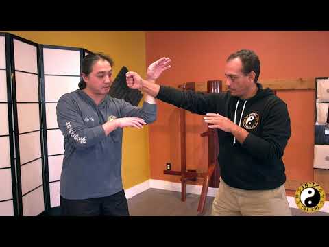 Shaolin 5 Animals | Snake Style | Coil Technique | Kung Fu Training | Martial Arts