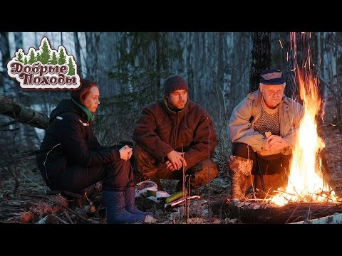 ПОХОД В ЛЕС. ЭНТОНИ ХОПКИНС СНОВА С НАМИ. Добрые походы.