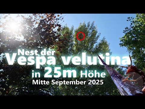 VELUTINA - Kamera geführte Lanze zur Nestpassivierung