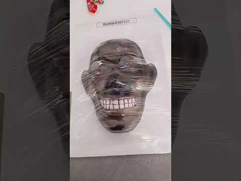 Forensic Model Of Mummifiation
