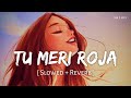 Tu Meri Roja (Slowed + Reverb) | Javed Ali | Kushi | SR Lofi