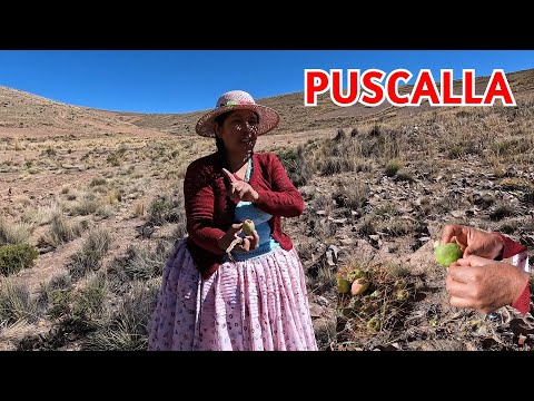 Cholita Isabel - YouTube