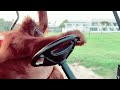 Monkey Crashes Golf Cart