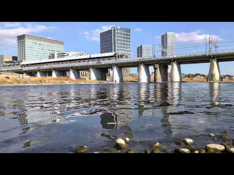 Futako Tamagawa River Ambience 🌊 | Calm Tokyo City Sounds | 4K | ASMR
