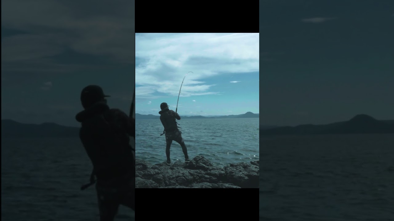 やっぱりこの釣りが面白い！！ #fishing #釣り #ヒラマサ