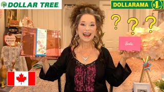 DOLLARAMA & DOLLAR TREE HAUL + SURPRISE REVEAL! #subscribe