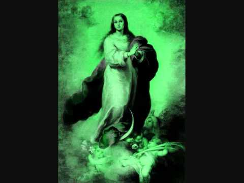 Salve Azucena Divina video