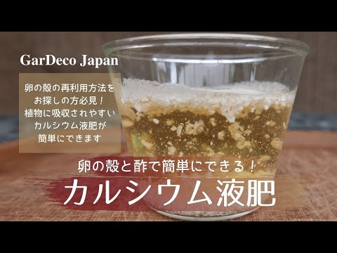 なぜ植物の周りに卵の殻を置くのでしょうか？明らかな5つの理由！  庭園