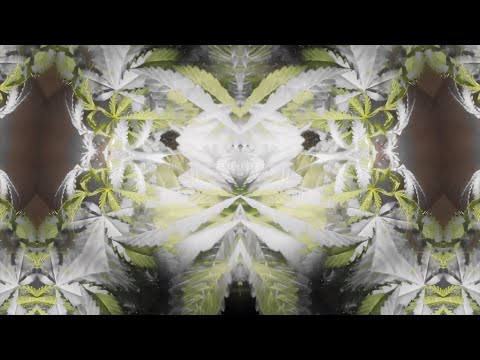 MAKAK [visuals by wolB] 4.9.20 -  Livestream set for How We Chill 1.0