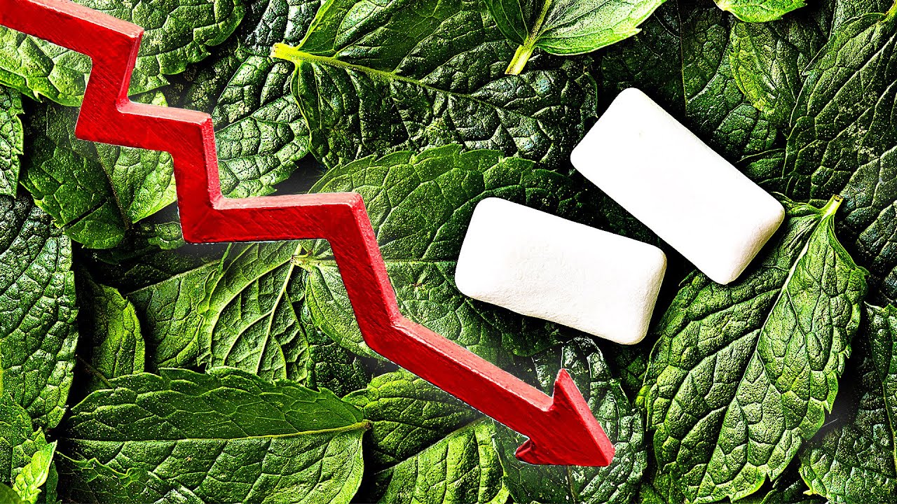 Why Did People Stop Chewing Gum? | The Rise and Fall of Chewing Gum