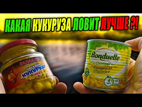 Стоит ли ПЕРЕПЛАЧИВАТЬ за КУКУРУЗУ?! Какая КУКУРУЗА отработает ЛУЧШЕ?! Эксперимент – День 7