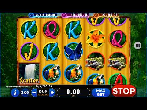 Amazon Fever – Video Gameplay