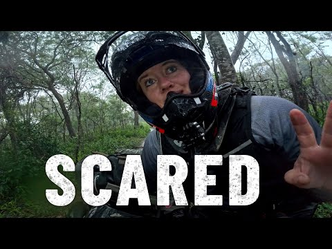 I have to HIDE in the forest of ANGOLA 🇦🇴 - [S7-E87]