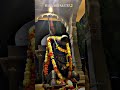 Chandni Raat Taro Ki Barat Hai Mahadev Trending Shivratri Shorts Status Whatsappstatus
