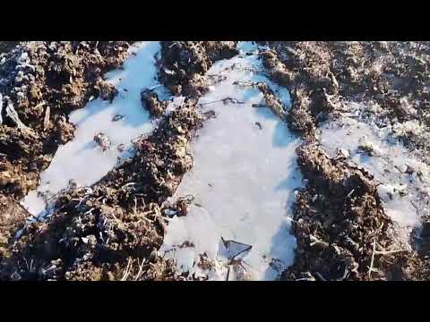 Muito frio em Palmas (PR) onde os termômetros registraram temperaturas negativas (sensação - 8ºC)