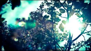 Plastic Flowers - Civilized