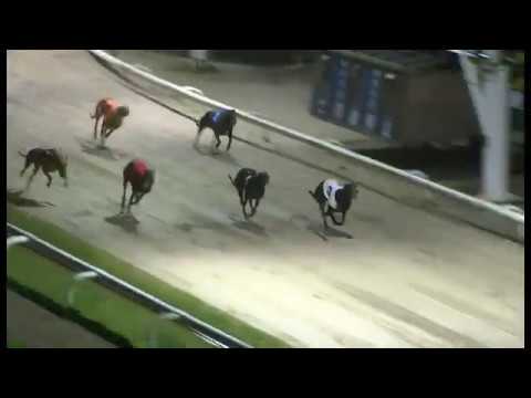 Volcanic Reef - Hove Winter Derby Final 2020