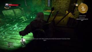 The Witcher 3: Wild Hunt - Fyke Isle Tower Poltergeist