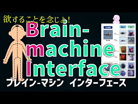 ダイレクトニューラルインターフェイスについて詳しく解説