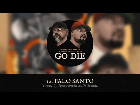 ANYONE/CUALKIERA | PALO SANTO ( VISUALIZER )