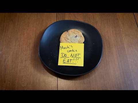 MACKS COOKIE (DO NOT EAT!)