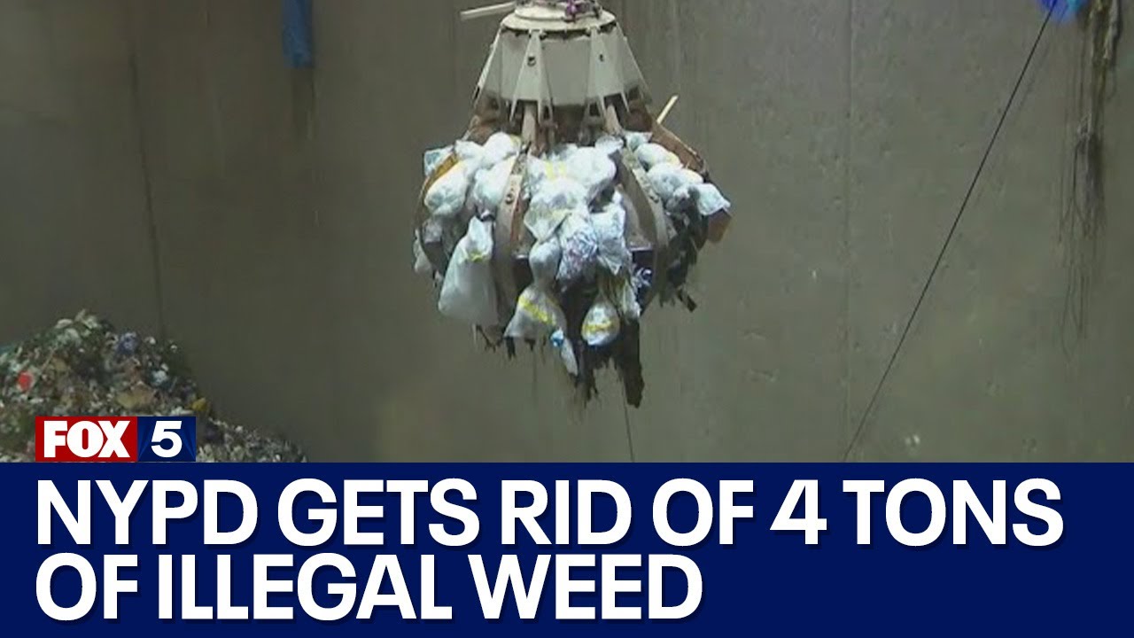 NYPD gets rid of 4 tons of illegal weed