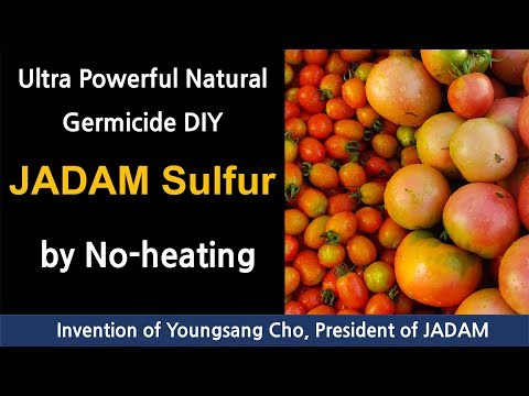 , title : 'Ultra Powerful Natural Germicide DIY : JADAM Sulfur(JS) by No-heating'