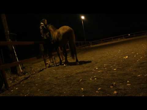 161030 C3 training to stand for mountingposition