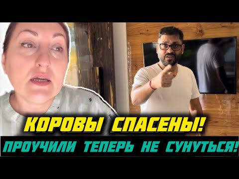 КОРОВЫ СПАСЕНЫ ! НАШЛИ УПРАВУ НА НЕПРОШЕНЫХ ГОСТЕЙ И ЖИВОТНЫХ ОСВОБОДИЛИ ! #замужвиндию