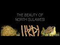 4K The Beauty of North Sulawesi, Blue Bay Divers, Sahaung Island, Nord Sulawesi, Indonesien, Sulawesi