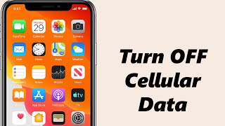 How To Turn OFF Cellular Data (Mobile Data) On iPhone