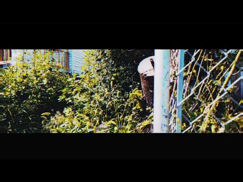 STONER X SCALES "2 BUSY"