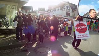 preview picture of video 'Karneval Adenau 2014'