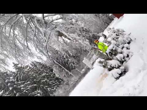 Koivut poikki ja pinoon