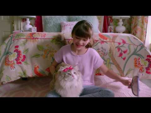 download lagu mp3 mp4 Jak Zosta Kotem 2016, download lagu Jak Zosta Kotem 2016 gratis, unduh video klip Jak Zosta Kotem 2016