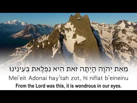Rav Dror - Hallel: Hebrew Worship Prayer Song, Psalms, Tehillim, Translated English, Transliterated​