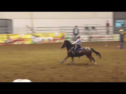 BarrelRacing Matteo Cavaliere Fieracavalli Verona 2018 - wsga