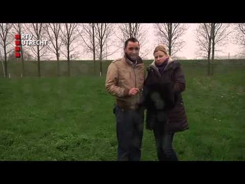 Eigenaren verdrietig over dood hondje Senna - vr 29 nov 2013 [RTV Utrecht]