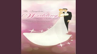 More Than You&#39;ll Ever Know (Instrumental)