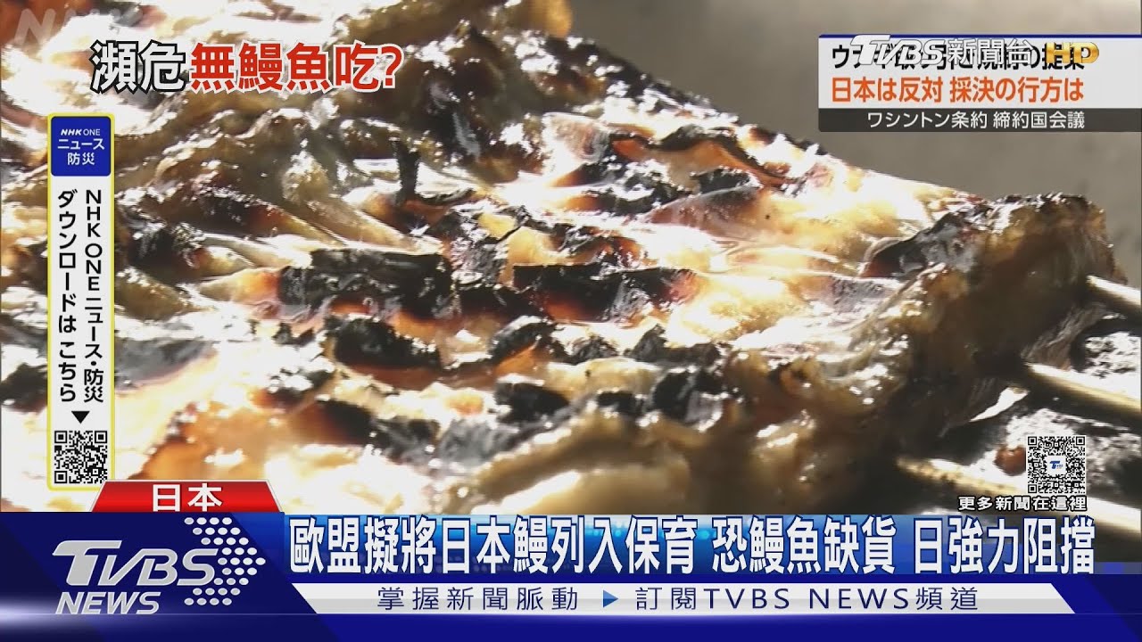 歐盟擬將日本鰻列入保育 恐鰻魚缺貨 日強力阻擋