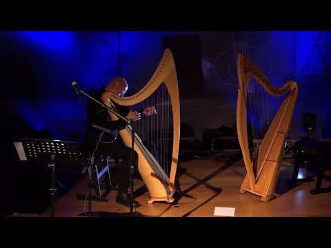ACOUSTICOLOGY 2017 - VINCENZO ZITELLO - HARPIST - HISS