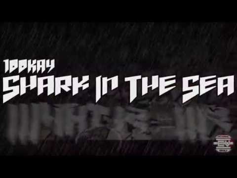 100KAY - Shark In The Sea | Shot By : @SnapLawd