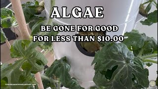 Algae Be Gone For Good—Under $10! 💦🍉 #towergarden #verticalfarming #algae