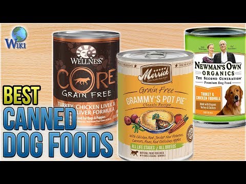 10 best canned dog foods