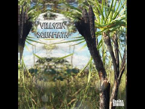 Mentalis Zavar - Where am I?